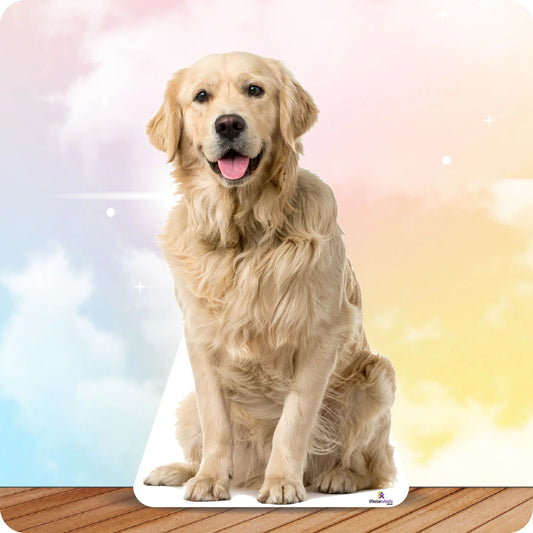 Custom photo standee cutout printing